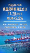 海关总署：上半年我国货色商业进出口同